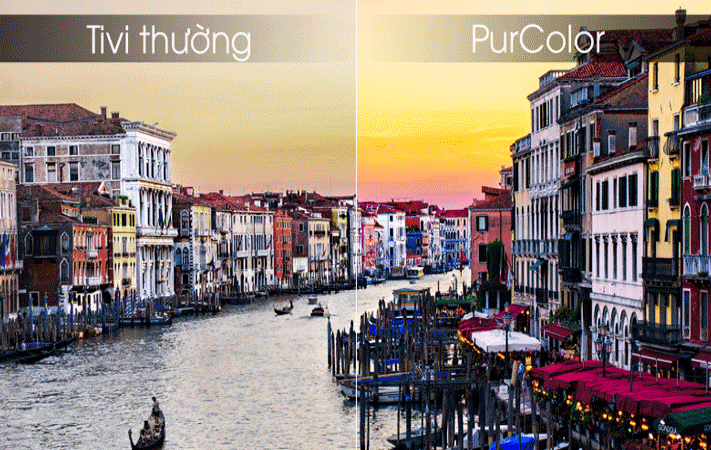 công nghệ Purcolor