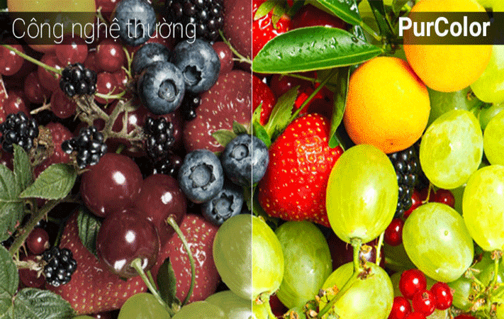 Công nghệ Purcolor