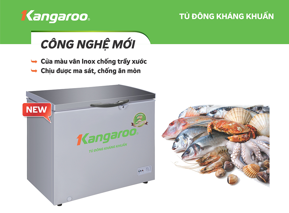 Tủ đông Kangaroo KG298VC1