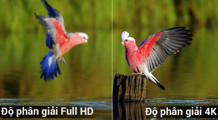 độ phân giải 4K