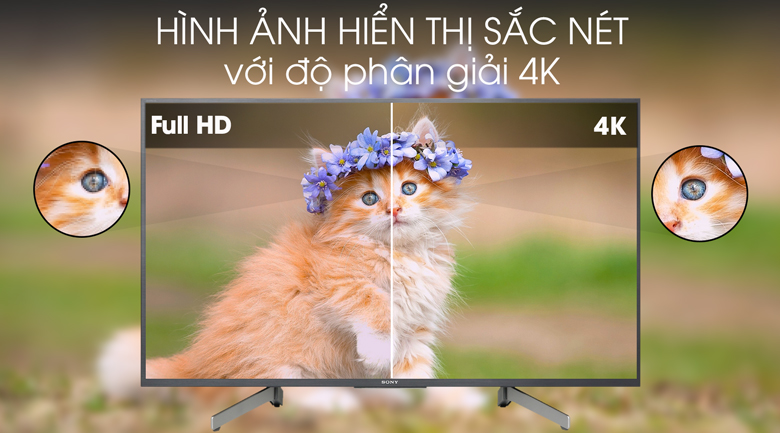 độ phân giải Tivi LED Sony 43X8000G